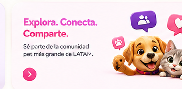 Explora Conecta Comparte