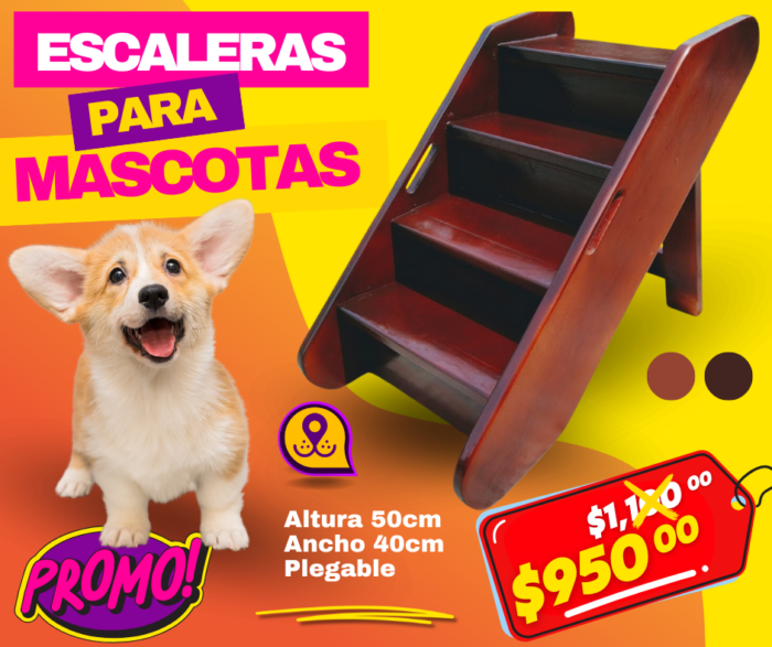 PRODUCTO PRUEBA PARA VERIFICAR PETIFY - Imagen 3