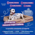 Cama Ortopédica Dogelthy - Memory Foam para Descanso Premium | Petify - Imagen 2
