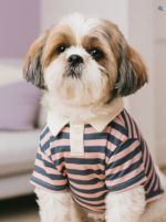 Camiseta Rayitas Rosé - Imagen 2