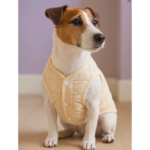 Chaleco Acolchonado The Dog Face Blanco - Imagen 2