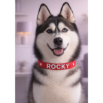 Collar Red Signature