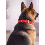 Collar Red Signature - Imagen 3