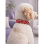 Collar Shiny Glam Fucsia - Imagen 4