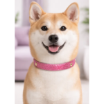 Collar Shiny Glam Fucsia - Imagen 2