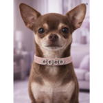 Collar Shiny Glam Rosa