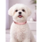 Collar Shiny Glam Rosa - Imagen 3