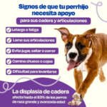 Dogelthy Articuly - Suplemento para Articulaciones y Movilidad | Petify - Imagen 3