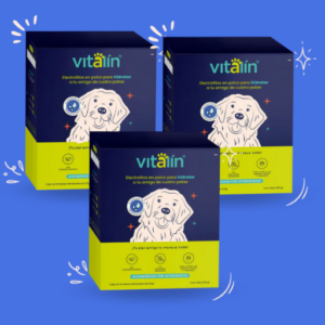 Kit Pro Vitalín: Hidratación Avanzada para Mascotas | Petify