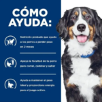 Hill's Metabolic + Mobility: Cuidado de Peso y Movilidad | Petify - Imagen 4
