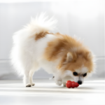 KONG Clásico para Perro - Juguete de Caucho Natural | Petify - Imagen 2