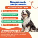 Kit Omega 3 Dogelthy - Salud de Piel, Pelo y Corazón para Perros | Petify - Imagen 3