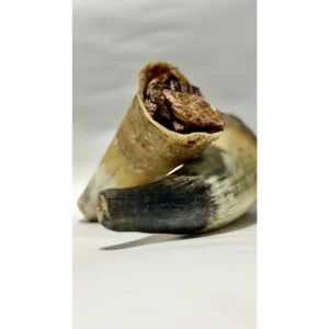 Cuerno de res relleno de pulmón