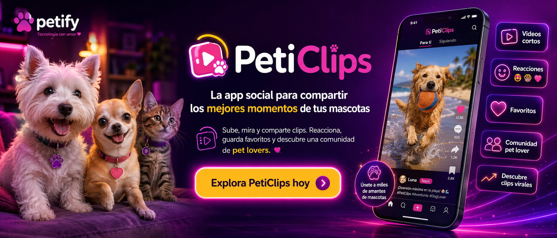 PetiClips en Petify