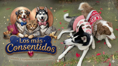 Los más consentidos