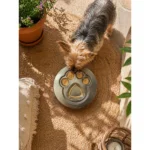 Comedero Lento para Perros de Acero Inoxidable Huellita Premium 2 en 1 | Slow Feeder Antiahogo 20 cm - Imagen 2
