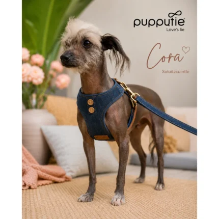 Set Arnés Ajustable con Correa Puppytie Denim Premium para Perro | Talla L