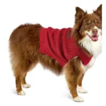 Hoodie para Perro Vibrant Life® Original con Gorro "Spoiled" - Talla M - Imagen 2