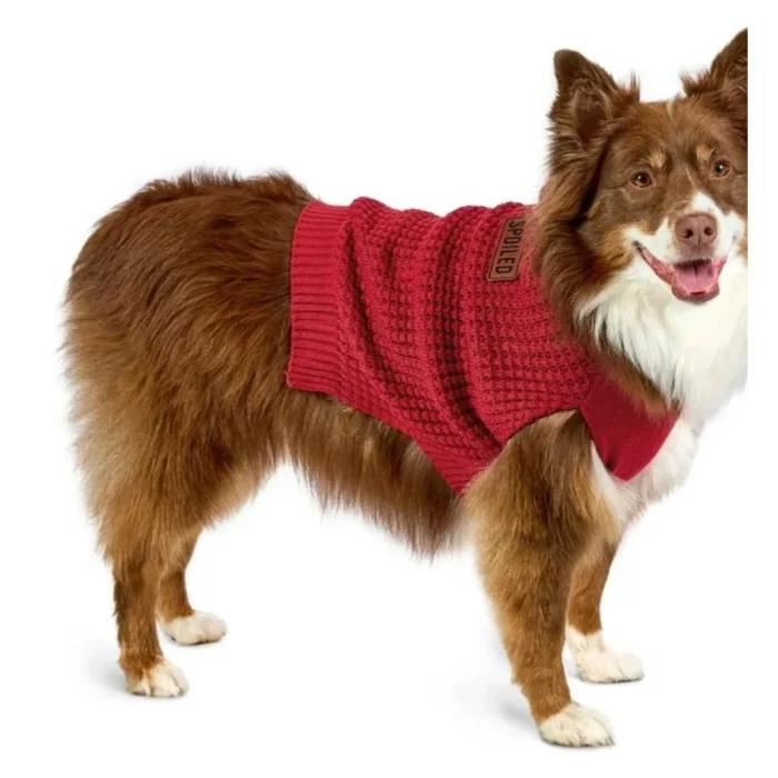 Hoodie para Perro Vibrant Life® Original con Gorro "Spoiled" - Talla M - Imagen 2