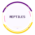 Categoría Reptiles en Petify Marketplace