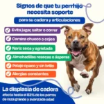 Active Pup Kit Dogelthy - Energía y Rendimiento para Perros Activos | Petify - Imagen 5