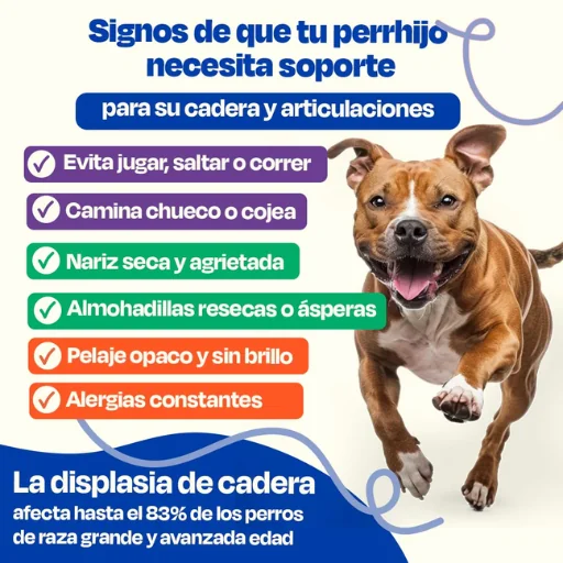 Active Pup Kit Dogelthy - Energía y Rendimiento para Perros Activos | Petify - Imagen 5