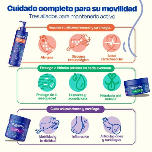 Active Pup Kit Dogelthy - Energía y Rendimiento para Perros Activos | Petify - Imagen 4