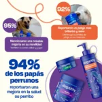 Active Pup Kit Dogelthy - Energía y Rendimiento para Perros Activos | Petify - Imagen 3