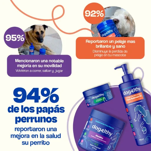 Active Pup Kit Dogelthy - Energía y Rendimiento para Perros Activos | Petify - Imagen 3