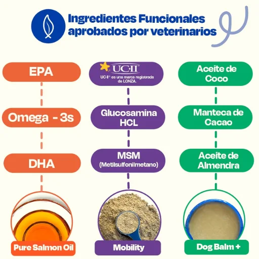 Active Pup Kit Dogelthy - Energía y Rendimiento para Perros Activos | Petify - Imagen 2