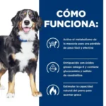 Hill's Metabolic + Mobility: Cuidado de Peso y Movilidad | Petify - Imagen 3