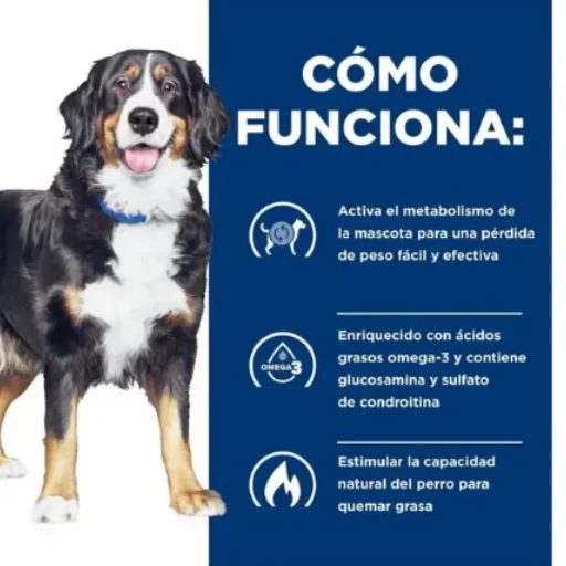 Hill's Metabolic + Mobility: Cuidado de Peso y Movilidad | Petify - Imagen 3